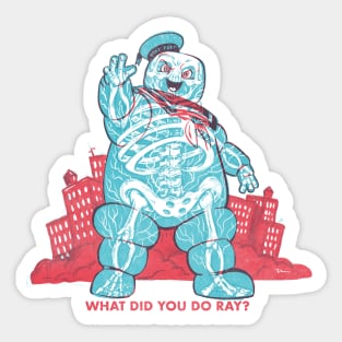 What Did You Do Ray Sticker